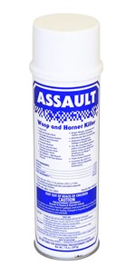 ASSAULT